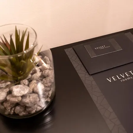 Velvet & Gasthuis Zadar