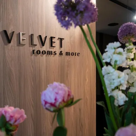 Гостевой дом Velvet & 4*