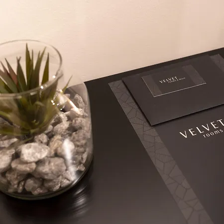 Velvet & Guest house