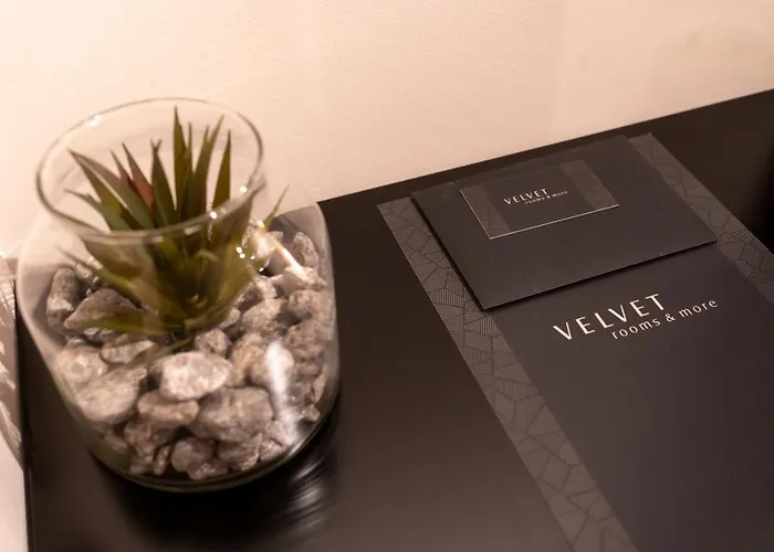 Velvet & ゲストハウス ザダル