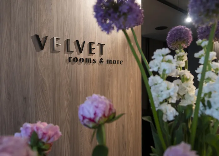 Guest house Velvet & 4*